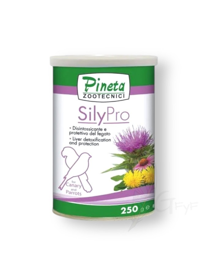 Silypro 250gr (Protector Hepático) Pineta