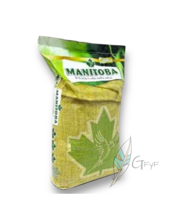 Mixtura Germinacion Speed 24 Manitoba 15kg