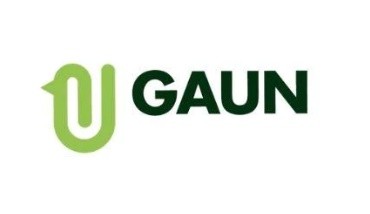 Gaun