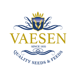 Vaesen