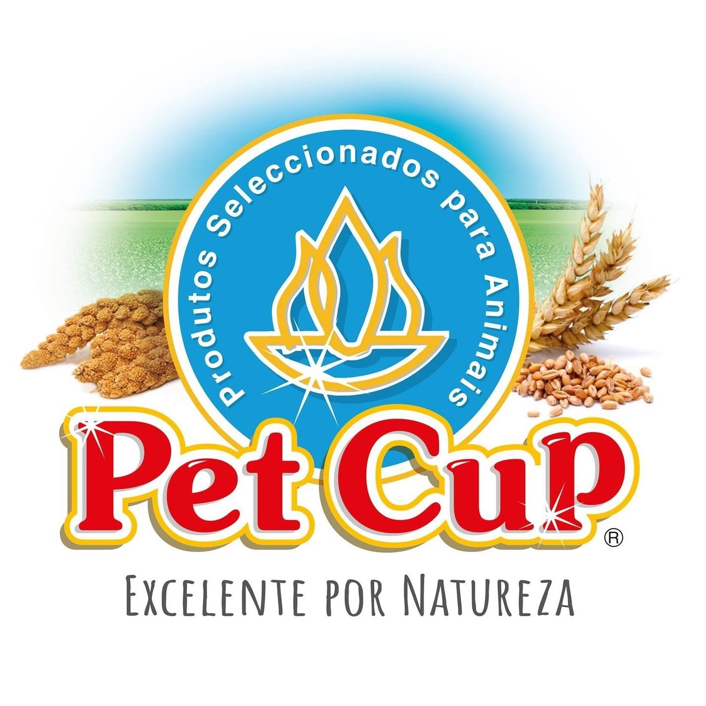 PET CUP