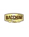 BACCHINI