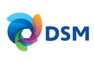 DSM