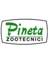 Pineta