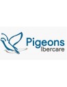 Pigeons Ibercare