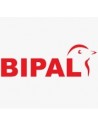 Bipal